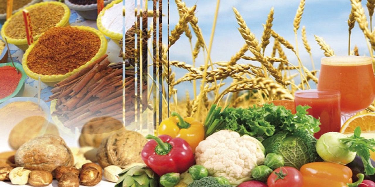 Agriculture & Élevage