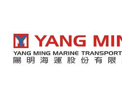 Yang Ming